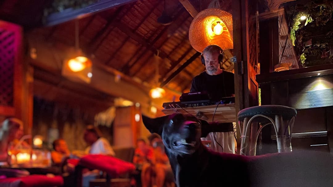 Rainforest Bar