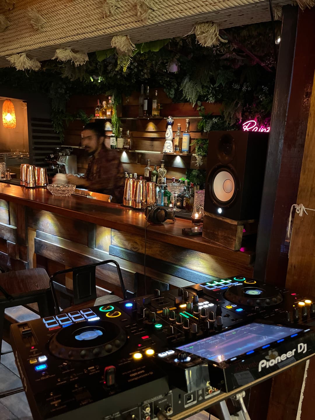 Rainforest Bar